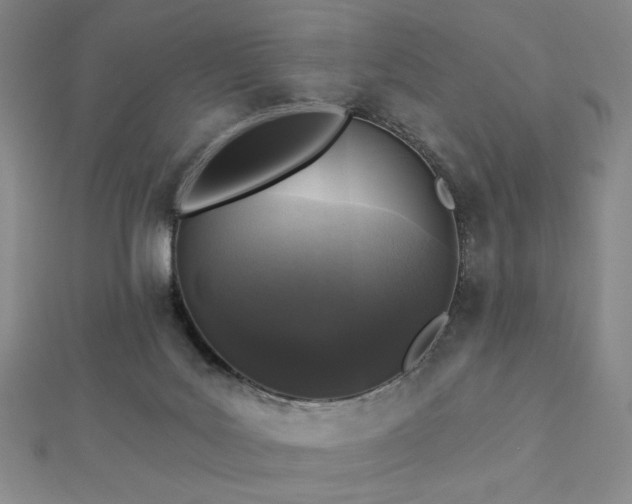 X0000113020027200908271443