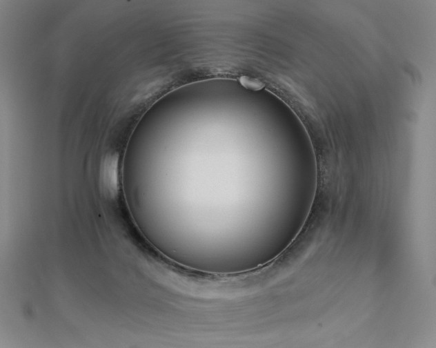 X0000113020028200908271443