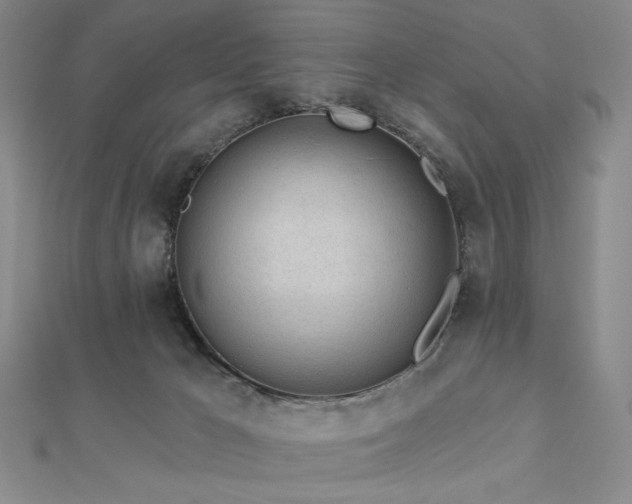 X0000113020029200908271443