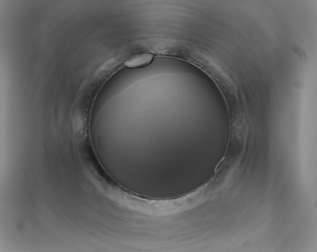 X0000113020031200908271443