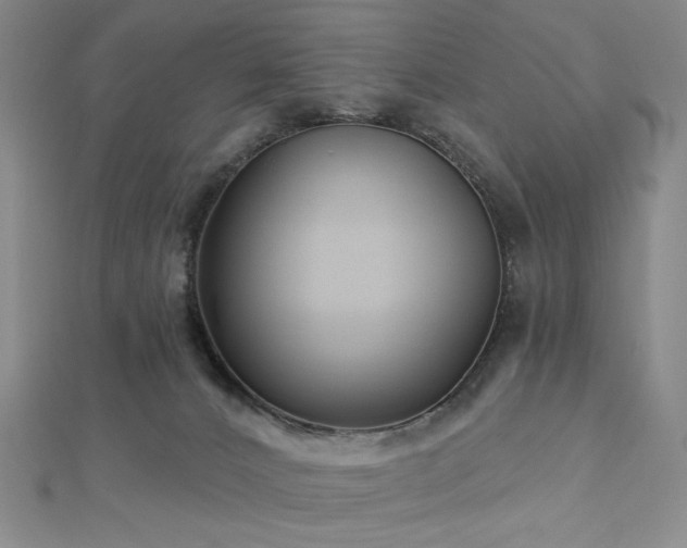 X0000113020032200908271443
