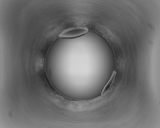 X0000113020033200908271443
