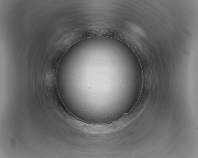 X0000113020034200908271443