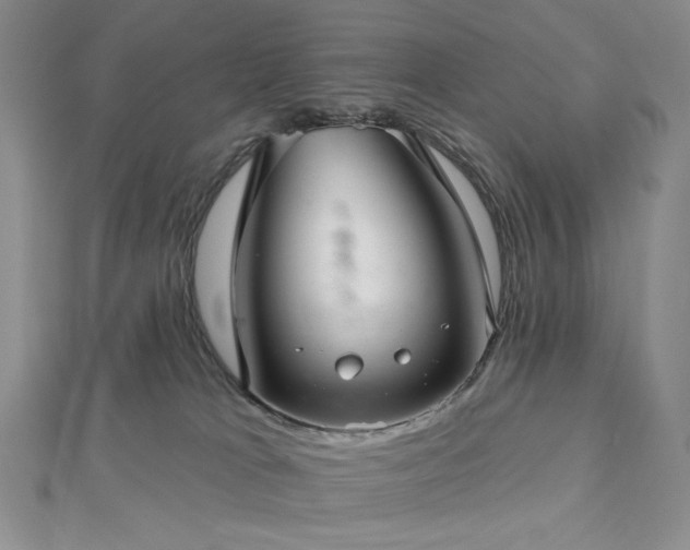 X0000113020037200908271443
