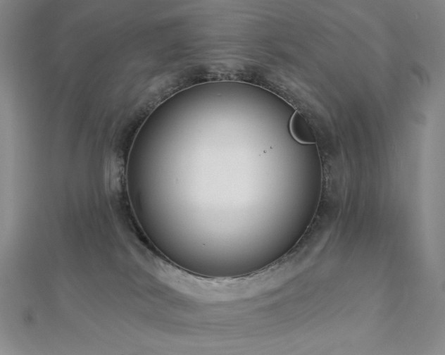 X0000113020038200908271443