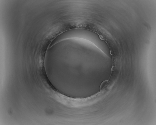 X0000113020039200908271443