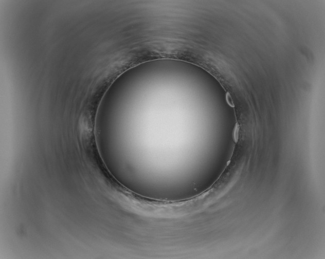 X0000113020040200908271443