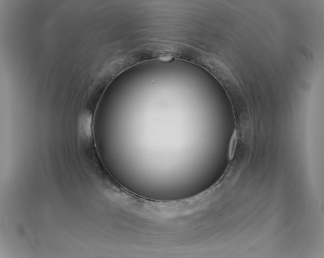 X0000113020041200908271443