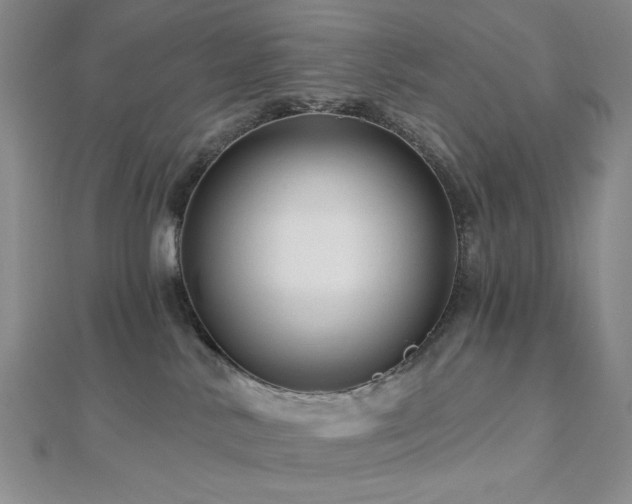X0000113020042200908271443