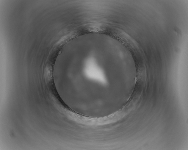 X0000113020043200908271443