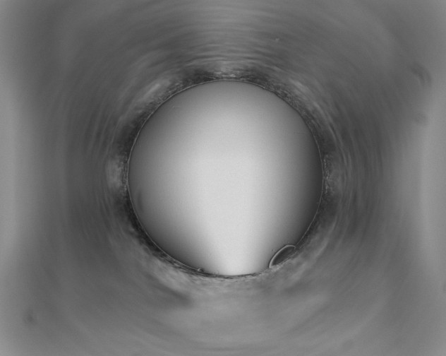X0000113020044200908271443