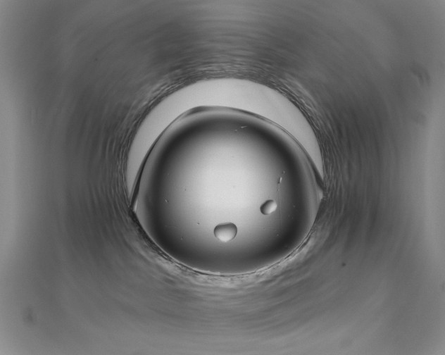 X0000113020045200908271443