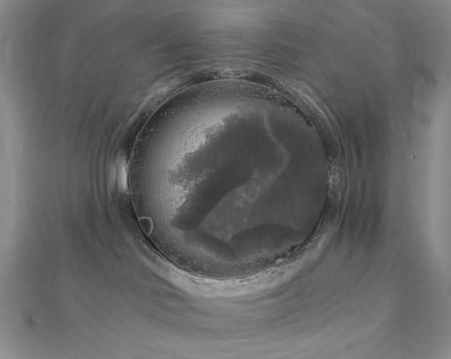 X0000113020046200908271443