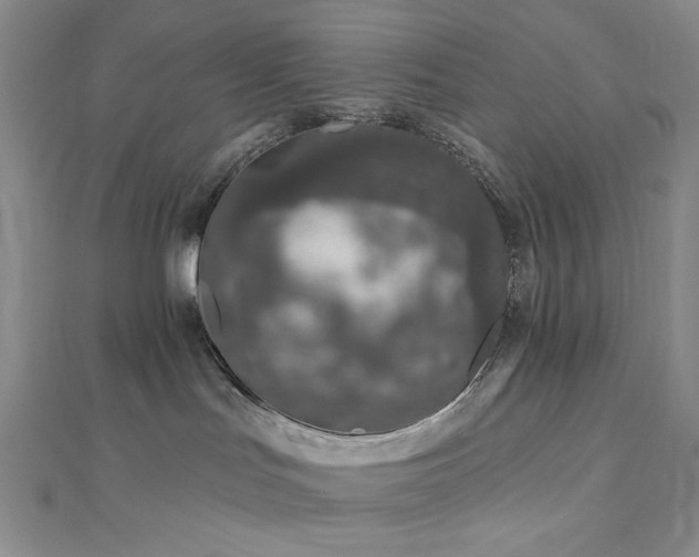 X0000113020047200908271443