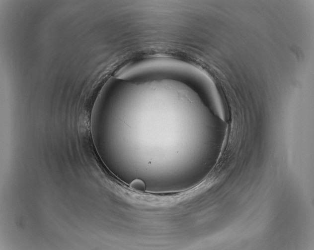 X0000113020048200908271443