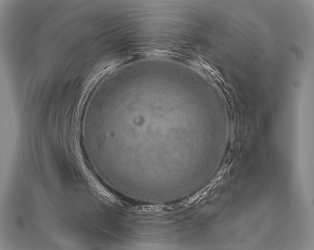 X0000113020049200908271442