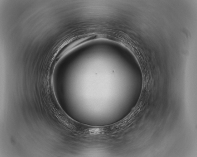 X0000113020050200908271442