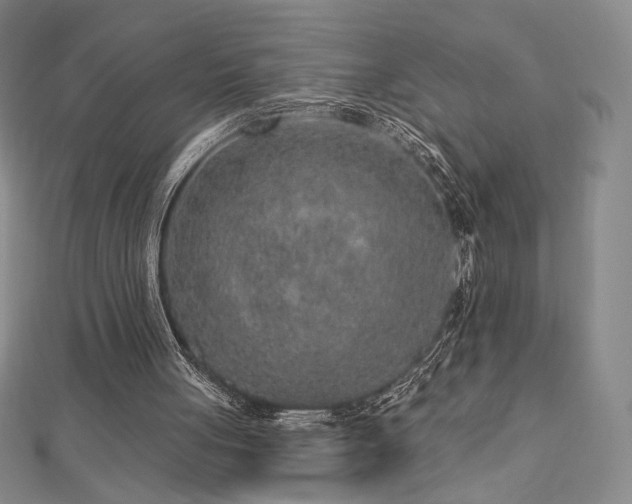 X0000113020051200908271442