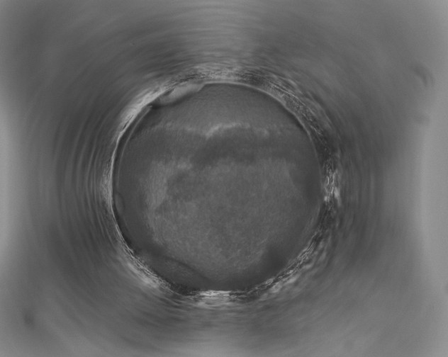 X0000113020052200908271442