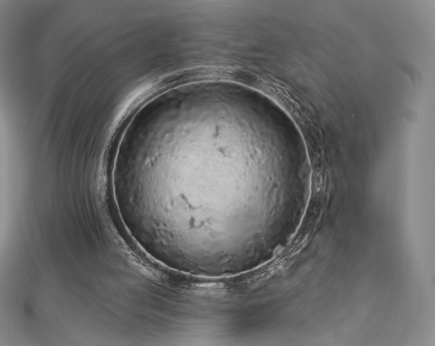 X0000113020053200908271442