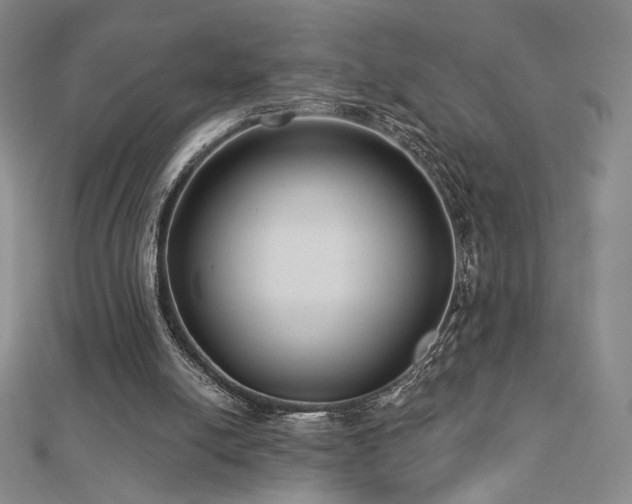 X0000113020054200908271442