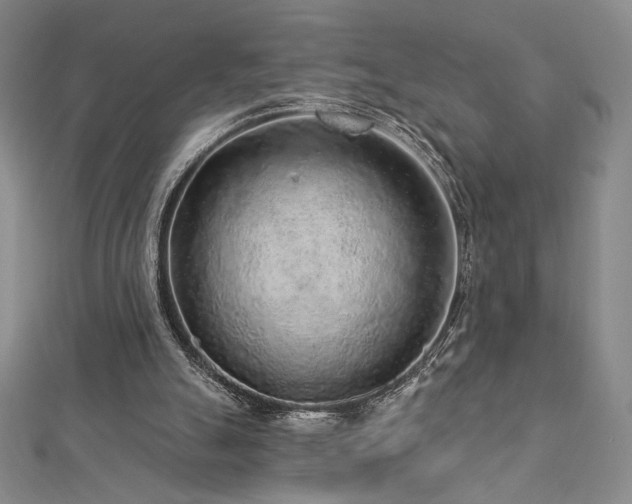 X0000113020055200908271442