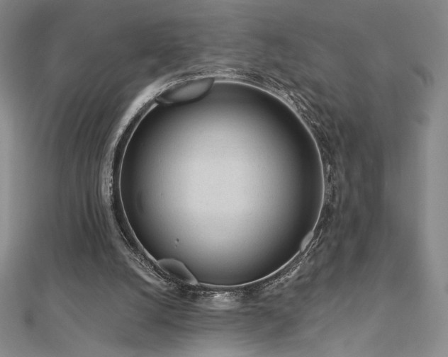 X0000113020056200908271442