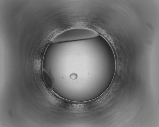 X0000113020057200908271442