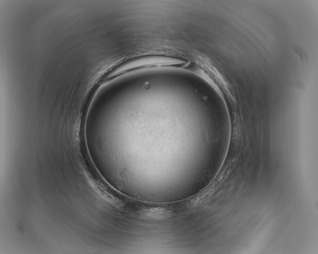 X0000113020058200908271442