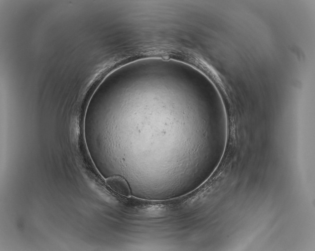 X0000113020059200908271442