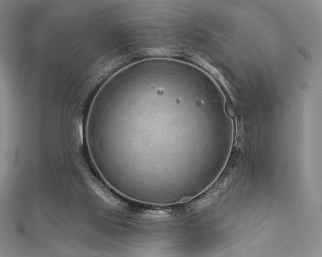 X0000113020061200908271442