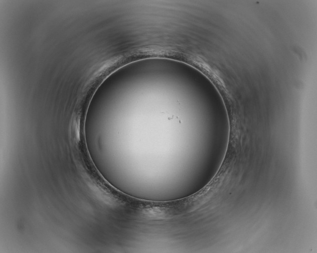 X0000113020062200908271442