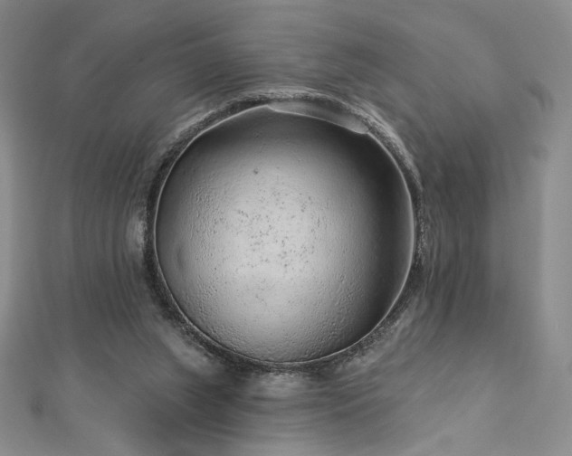 X0000113020063200908271442