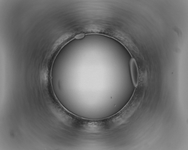 X0000113020064200908271442