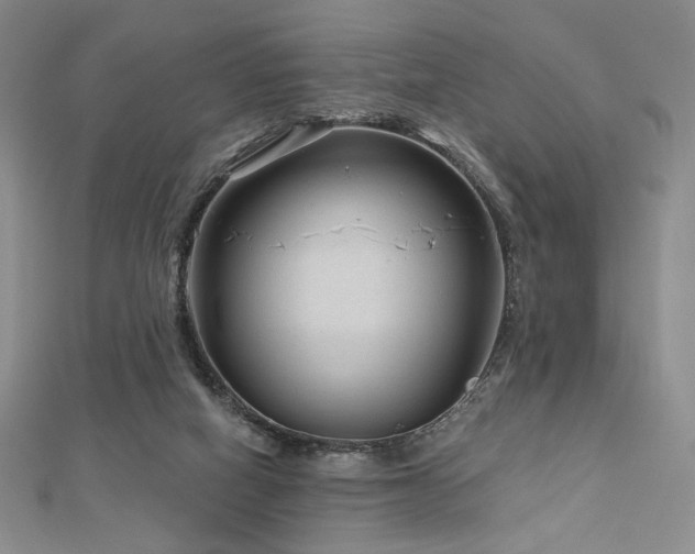 X0000113020066200908271442