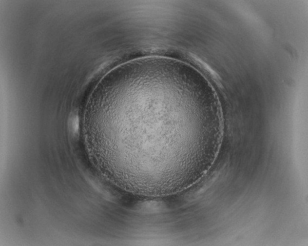X0000113020067200908271442