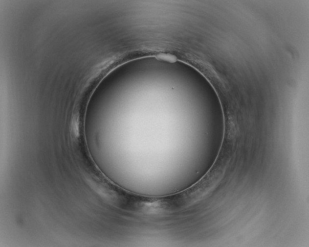 X0000113020068200908271442