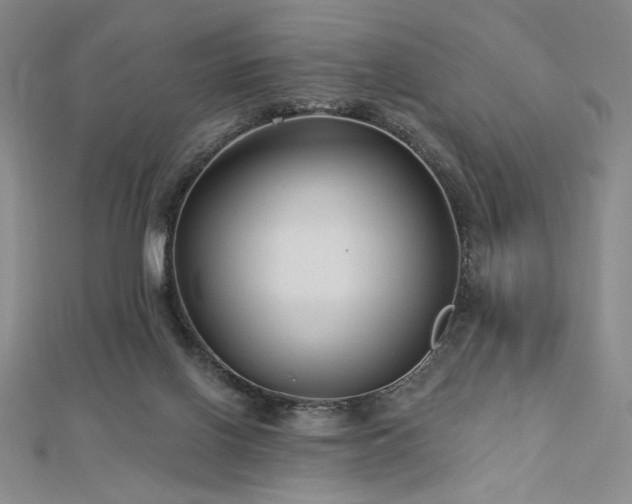 X0000113020070200908271442