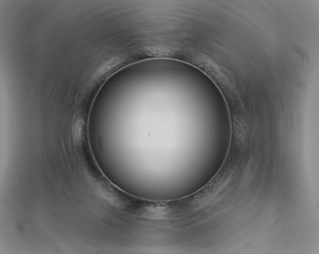 X0000113020071200908271442
