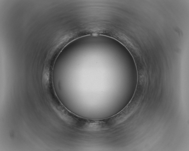 X0000113020072200908271442