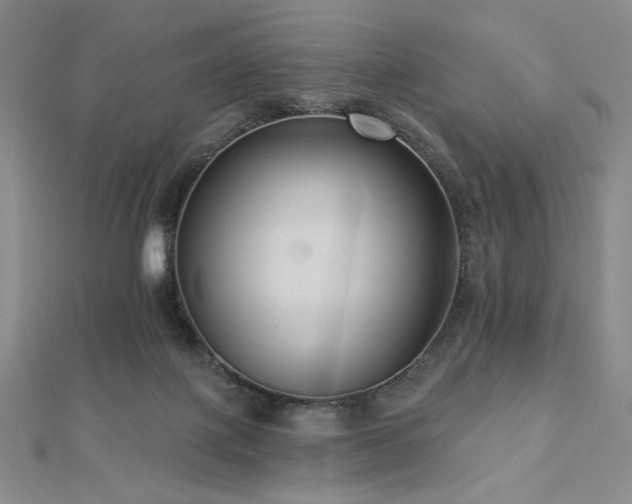 X0000113020075200908271442