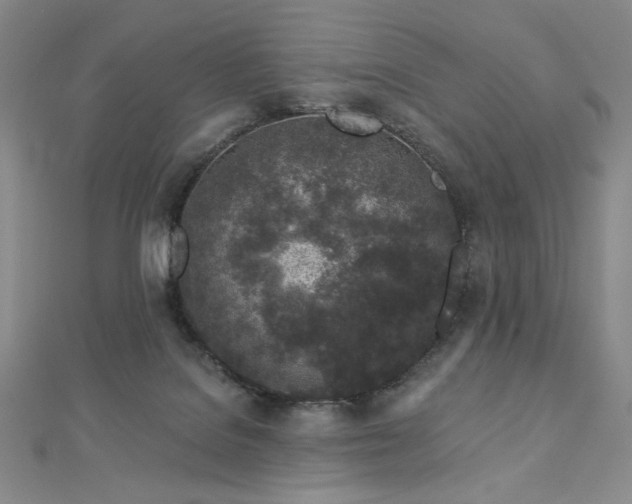 X0000113020076200908271442