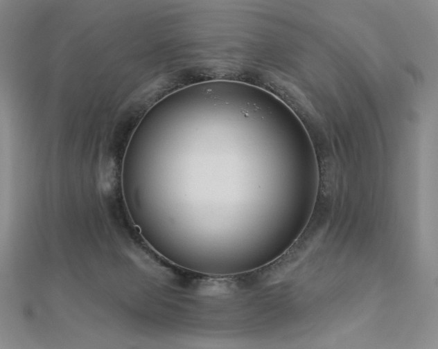 X0000113020077200908271442