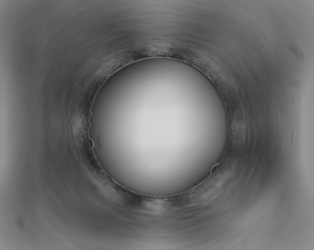 X0000113020079200908271442