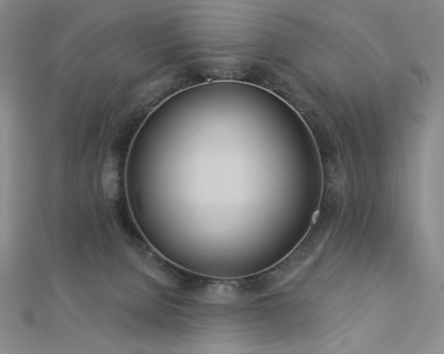 X0000113020080200908271442