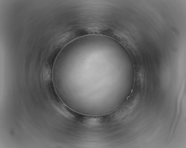 X0000113020081200908271442