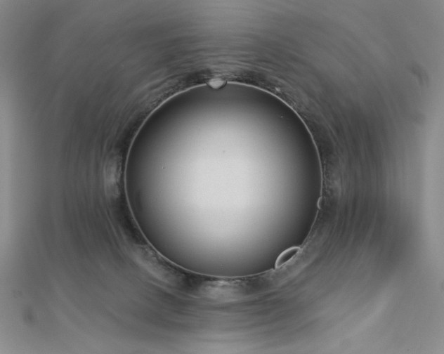 X0000113020082200908271442