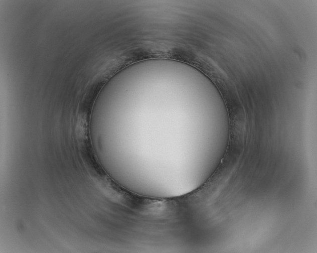 X0000113020083200908271442