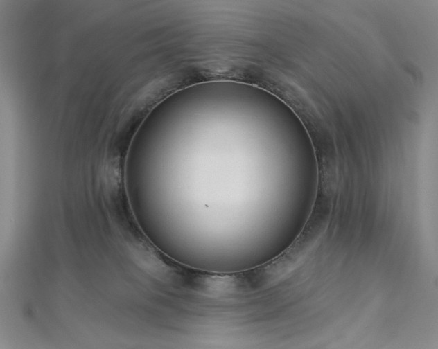 X0000113020085200908271443