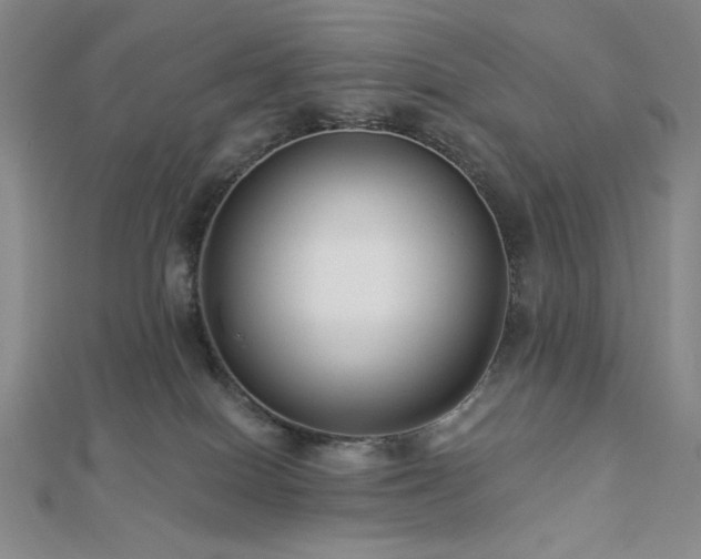 X0000113020086200908271443